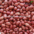 2015 Jilin Origin Four Red Skin Peanut Kernels